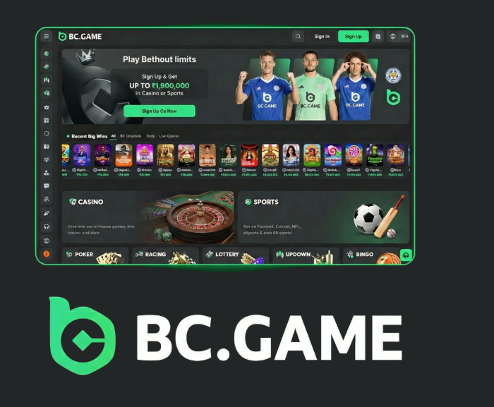 Discover the Exciting Features of BC.Game Platform