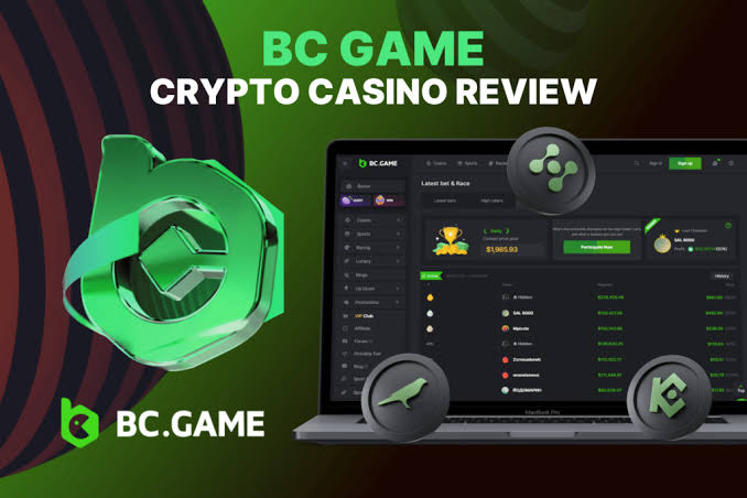 Understanding the BC.Game Login Process for Seamless Gaming